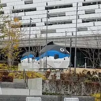 星野リゾート OMO7 大阪新今宮の写真・動画_image_765699