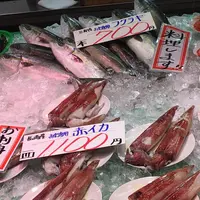近江町市場の写真・動画_image_76695