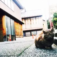 ひがし茶屋街の写真・動画_image_76701