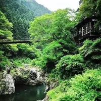 鳩ノ巣渓谷の写真・動画_image_76737