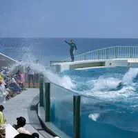 鴨川シーワールドの写真・動画_image_7687