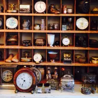 Arbre（アルブル）の写真・動画_image_77004