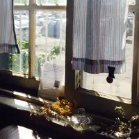 Bion （日音）の写真・動画_image_77009