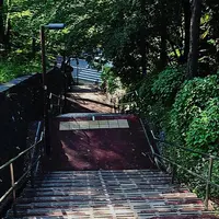 いろは坂の写真・動画_image_77053