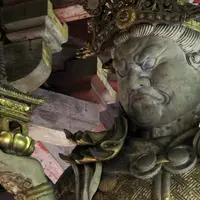 東大寺の写真・動画_image_7707