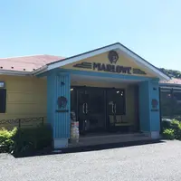 マーロウプリン＆カフェ逗葉 新道店の写真・動画_image_77080