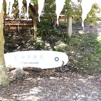 CABAN（カボン）の写真・動画_image_77151