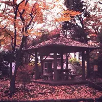 桃園川緑道の写真・動画_image_77252