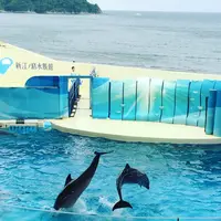 新江ノ島水族館の写真・動画_image_77445