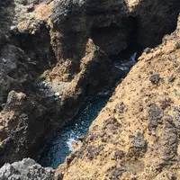 義経舟隠しの写真・動画_image_77461