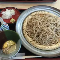 結城石臼挽二八そばの写真・動画_image_77482