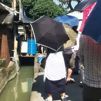 讃岐うどん がもうの写真・動画_image_77520