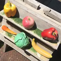 スムージー スタンド アオヤの写真・動画_image_77557