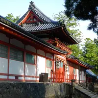 次は若草山方面に向かいますの写真・動画_image_7758