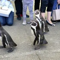 城崎マリンワールドの写真・動画_image_77667