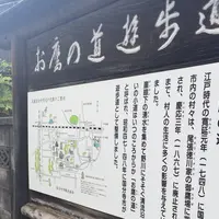 お鷹の道・真姿の池湧水群の写真・動画_image_77668