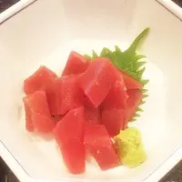 魚四季の写真・動画_image_77673
