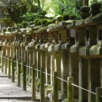 春日大社の写真・動画_image_7769