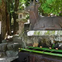 春日大社の写真・動画_image_7770