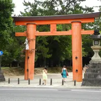 春日大社の写真・動画_image_7771