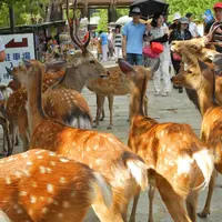 貴方は狙われていますの写真・動画_image_7773