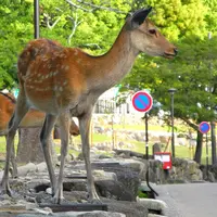 貴方は狙われていますの写真・動画_image_7774