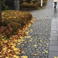 函館市旧イギリス領事館の写真・動画_image_77790