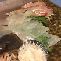 魚恒の写真・動画_image_77813