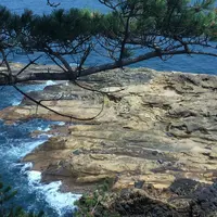 義経舟隠しの写真・動画_image_78054