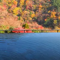 箱根吟遊の写真・動画_image_7807