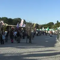 巾着田の写真・動画_image_782756