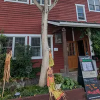 阿里山カフェ • Alishan Cafeの写真・動画_image_782757