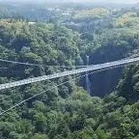 三島スカイウォークの写真・動画_image_78542