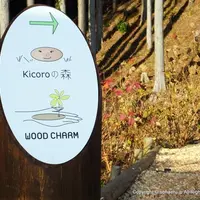 三島スカイウォークの写真・動画_image_78546