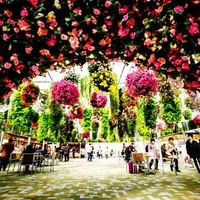 三島スカイウォークの写真・動画_image_78581