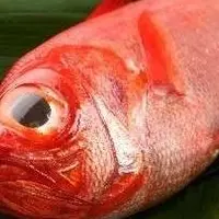 西伊豆町の写真・動画_image_78590