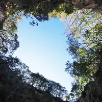 堂ケ島の写真・動画_image_78604