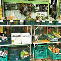 POEPOEの写真・動画_image_78611