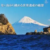 堂ケ島の写真・動画_image_78612