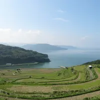 土谷棚田の写真・動画_image_7862