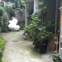 神楽坂てまめの写真・動画_image_78806