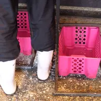 天ぷら 大吉の写真・動画_image_78865