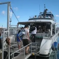 泊港の写真・動画_image_7889