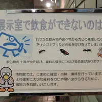埼玉県立歴史と民俗の博物館の写真・動画_image_78983