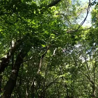 茶臼山の写真・動画_image_7900