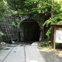 夢の吊橋の写真・動画_image_79019