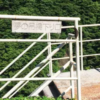 夢の吊橋の写真・動画_image_79020