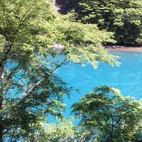 夢の吊橋の写真・動画_image_79021