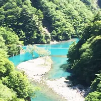 夢の吊橋の写真・動画_image_79023
