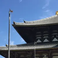 東大寺の写真・動画_image_79049
